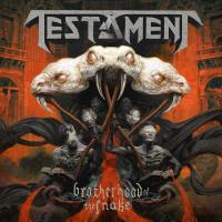 Виниловая пластинка Testament / BROTHERHOOD OF THE SNAKE (3LP)